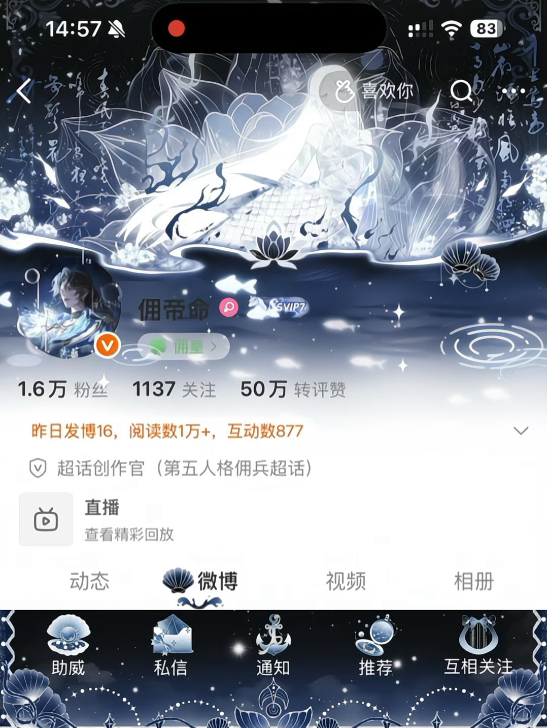 神了我好喜欢这个 