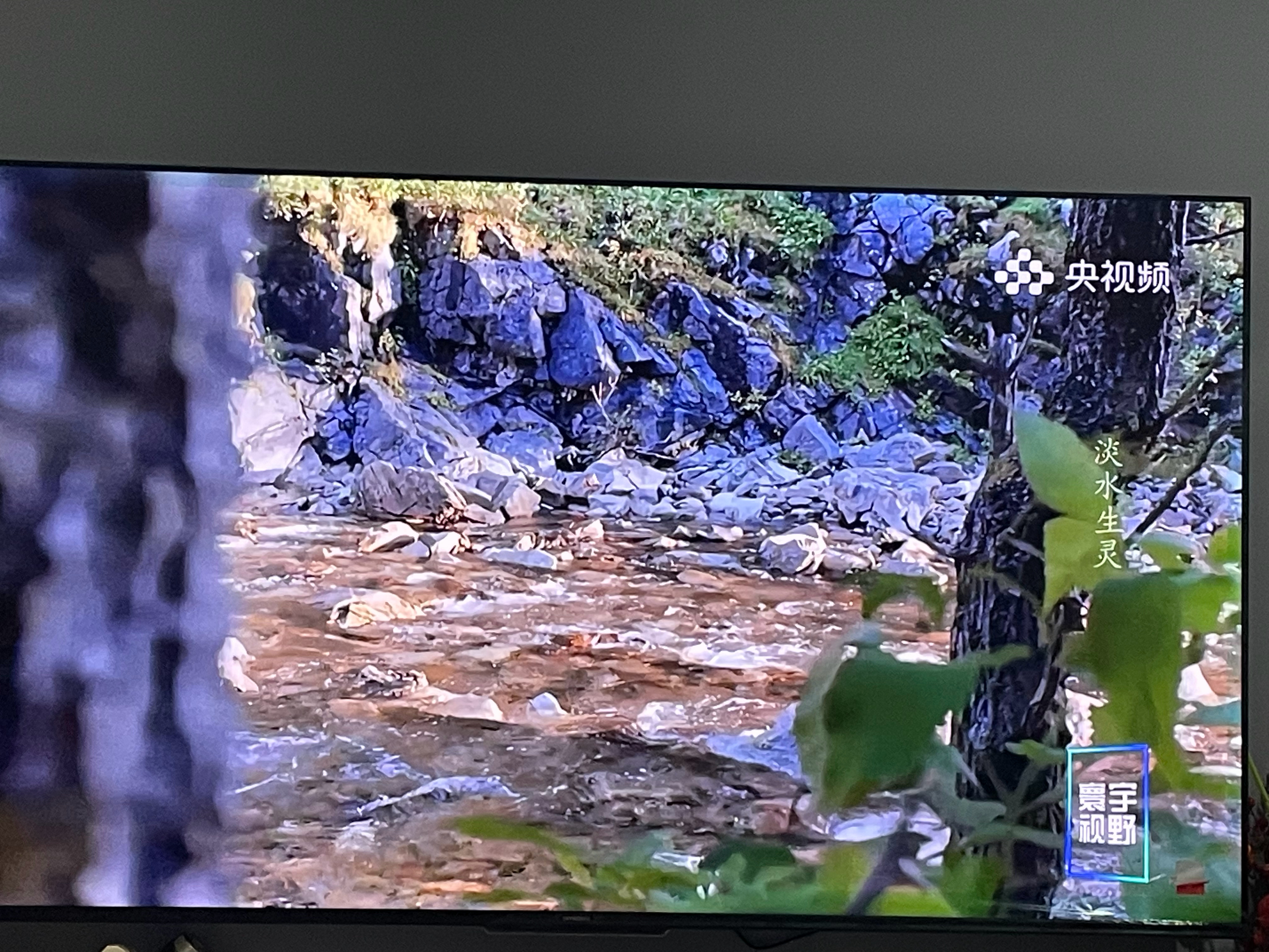 趁心脉未受损多看看天地每天都看纪录片全部是新鲜热乎在更新着的。 