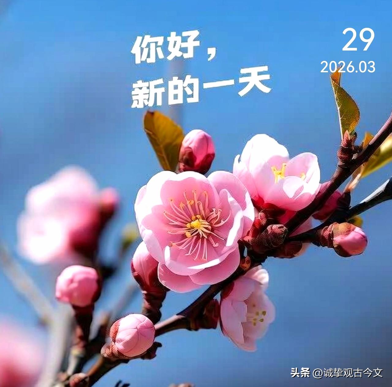 学会与自己和解，学会接纳自己，学会欣赏自己，这是人生最为重要的课题！