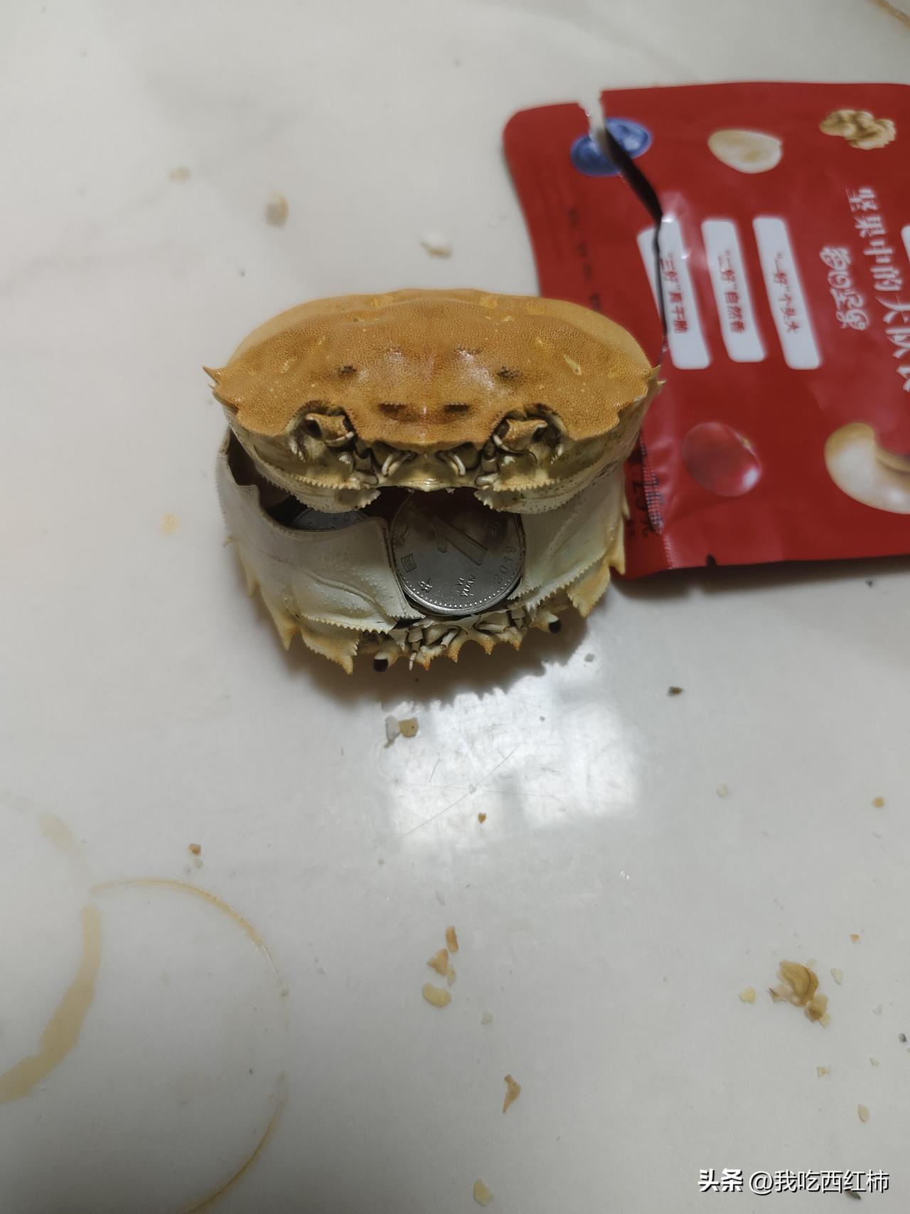 孩子爸宁愿自己孩子不上学，也不催朋友还钱
我真的想不通，孩子爸自己的孩子没钱上学