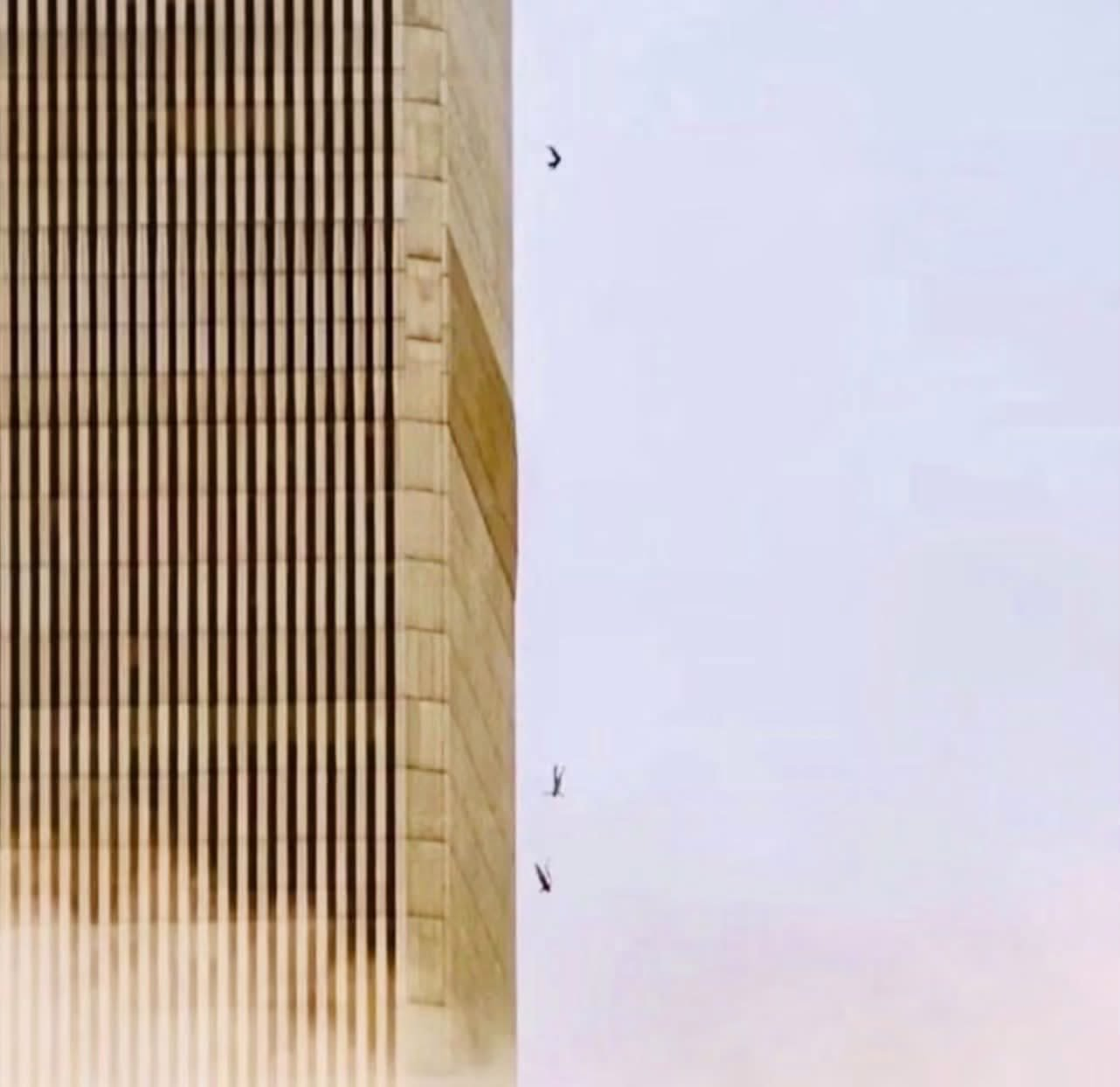911的坠楼者 ​​​