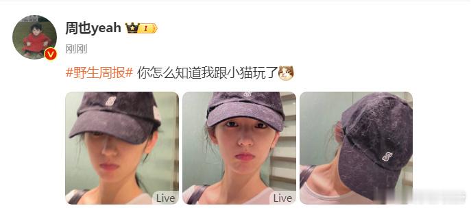 #周也帽子上全是猫毛##周也帽子上全是毛#周也：你怎么知道我跟小猫玩了[喵喵] 