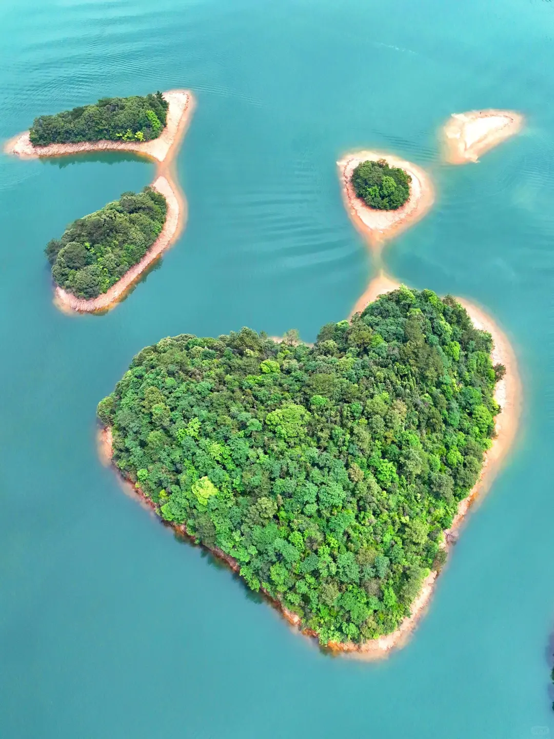 不在国外在江西❗