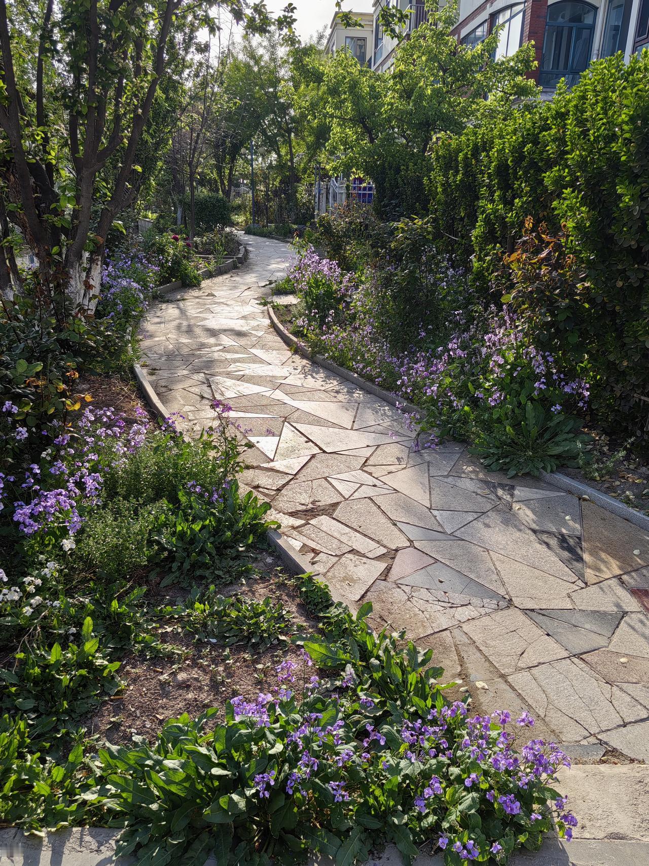 谁有花草照片，可以晒下吗