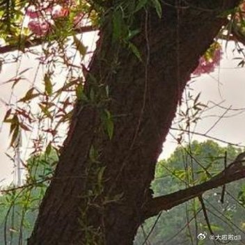 🎶伴着吴侬软语，河水流淌千年，姑苏文化也流传了千年，不知是这河水孕育了文化，还