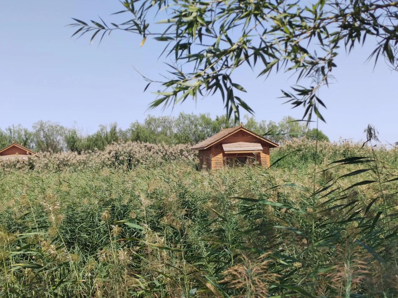 分享你随手拍的风景