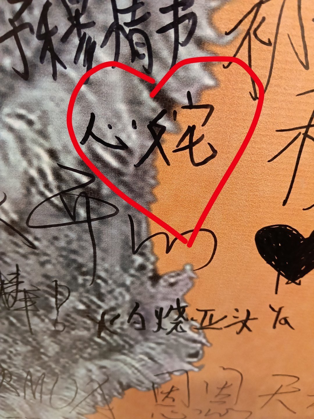 占位