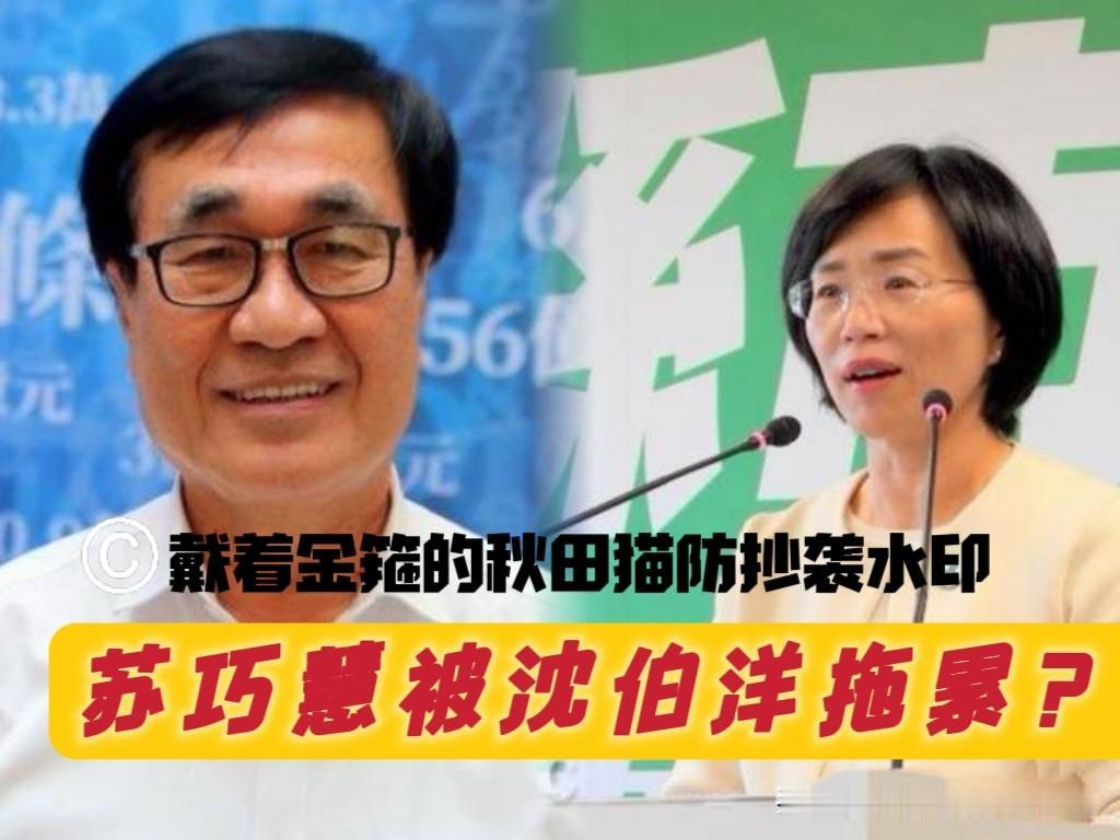 沈伯洋拖累苏巧慧？
黄士修毒舌点评新北民调：苏巧慧跟沈伯洋绑一起，这不是自讨苦吃