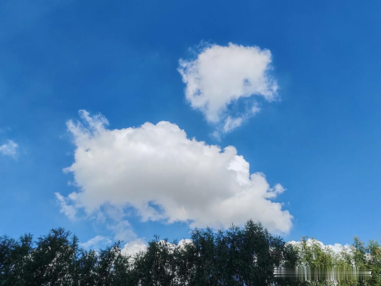 公园美景随拍天边一朵云