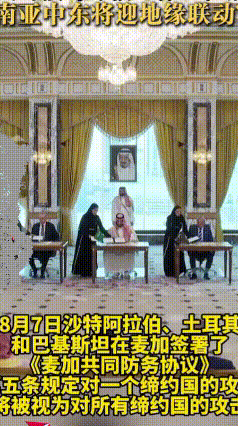 但代价也会是有的。一旦签约绑定防务条约，很容易被裹挟进大国博弈，被迫站队，丢掉一