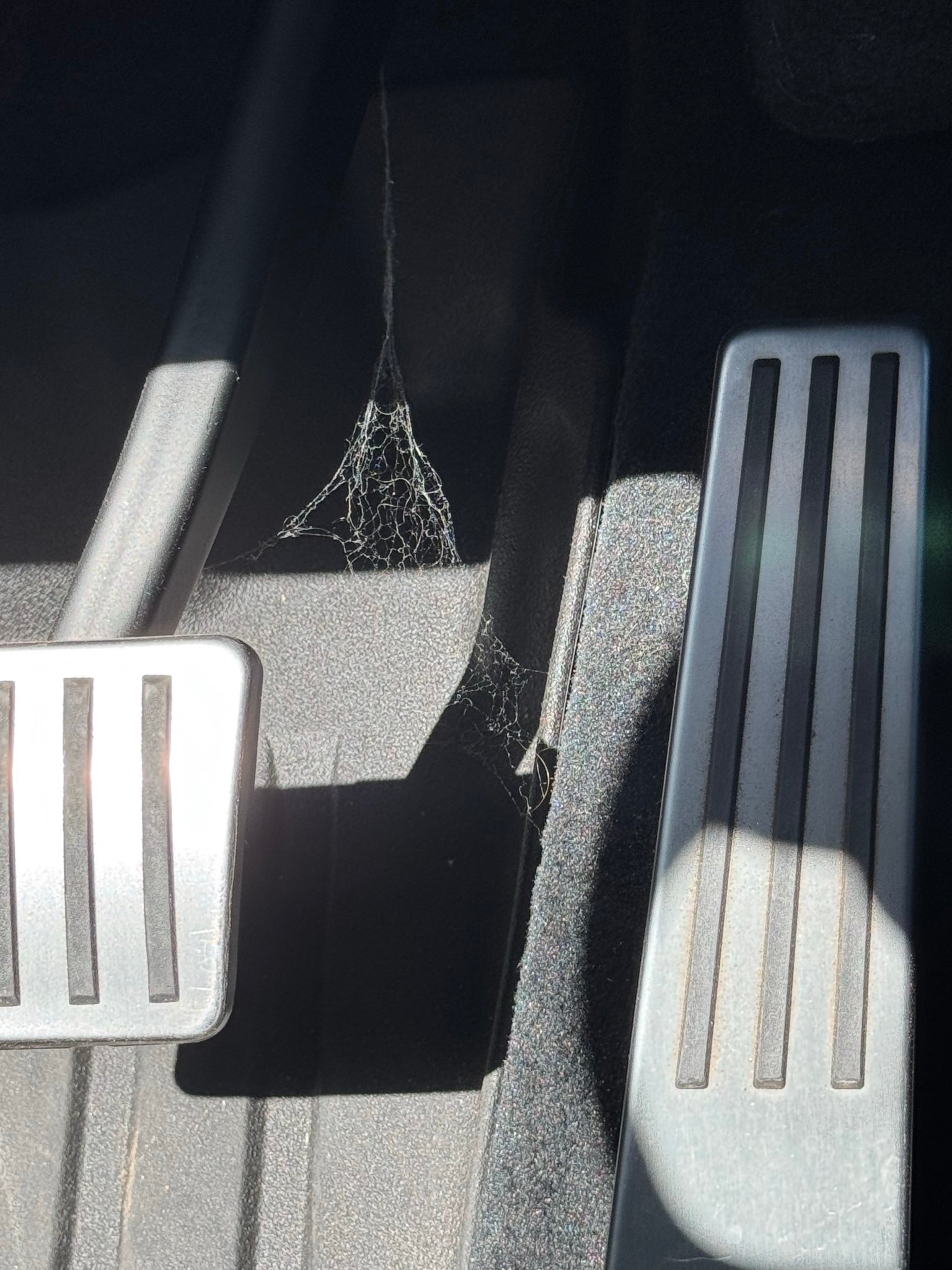 “自从用上特斯拉的单踏板模式后”