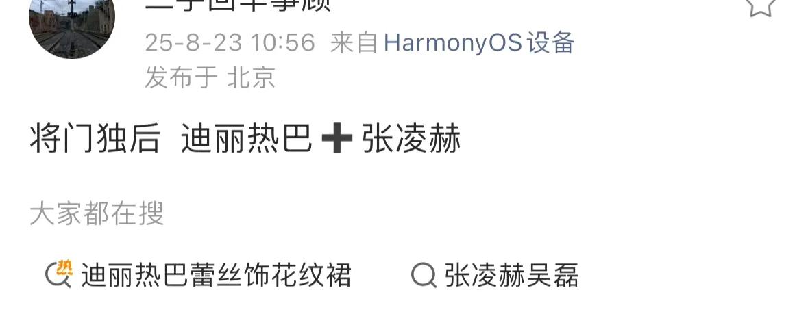 《将门毒后》这瓜又滚到迪丽热巴和张凌赫这儿了！瓜主都拍板说基本是他俩，我瞅着