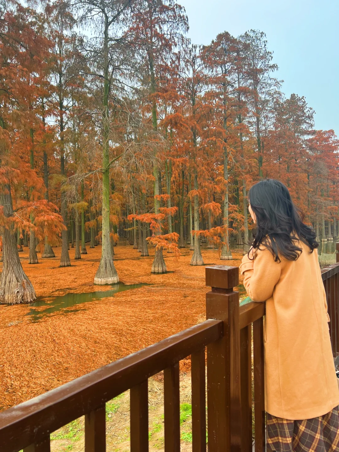 🔥10万人都在推的涨渡湖，果然没有骗我