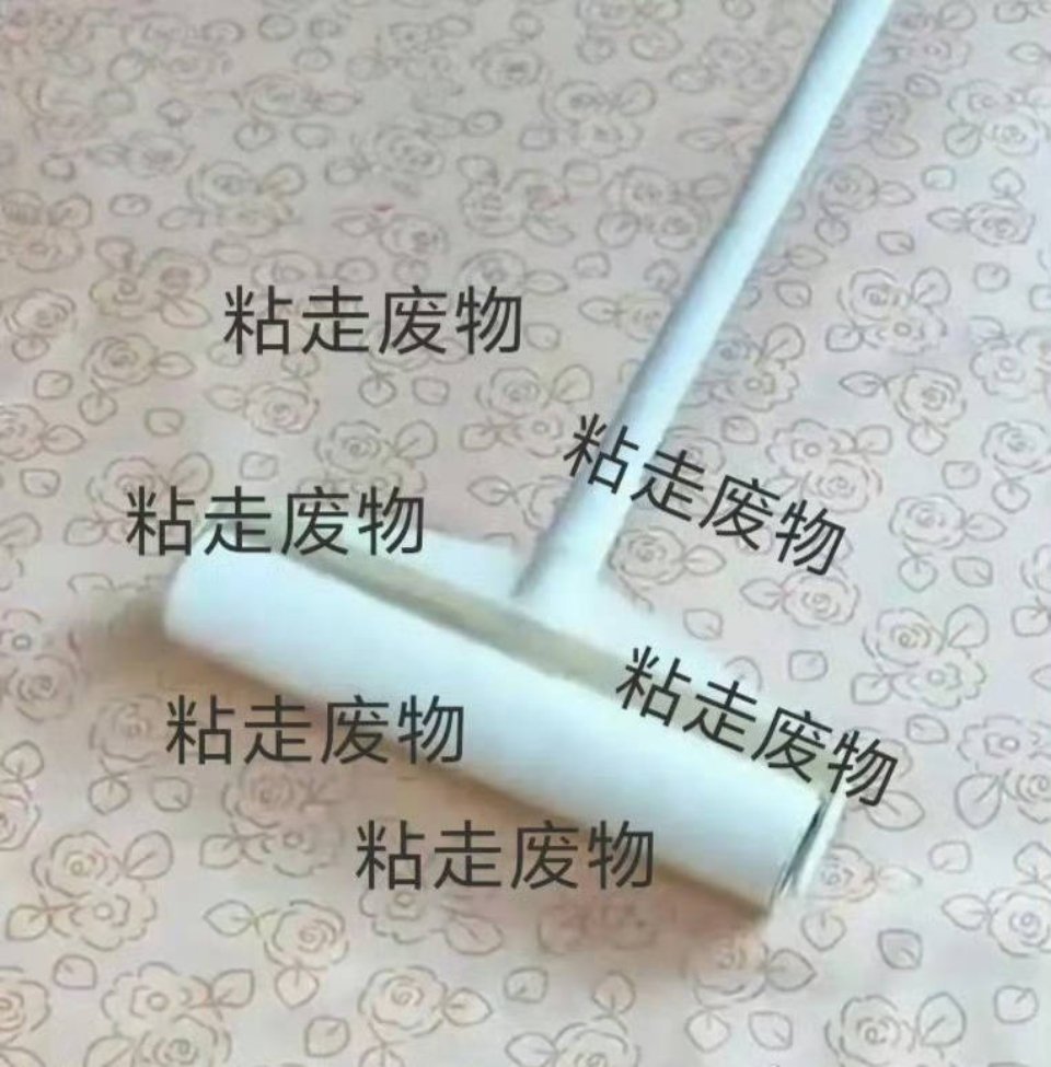 怎么那么爱犯见呢 