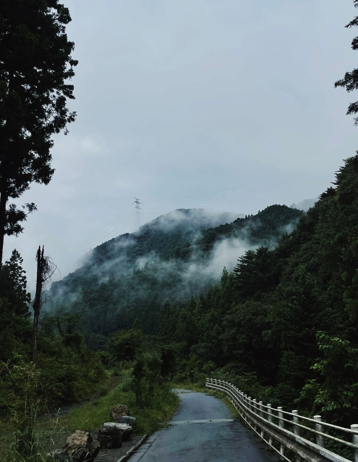 没有人能拒绝雨天的山雾在大雾天进山，就无法预见远方的路但当你鼓起勇气走近，就又呈
