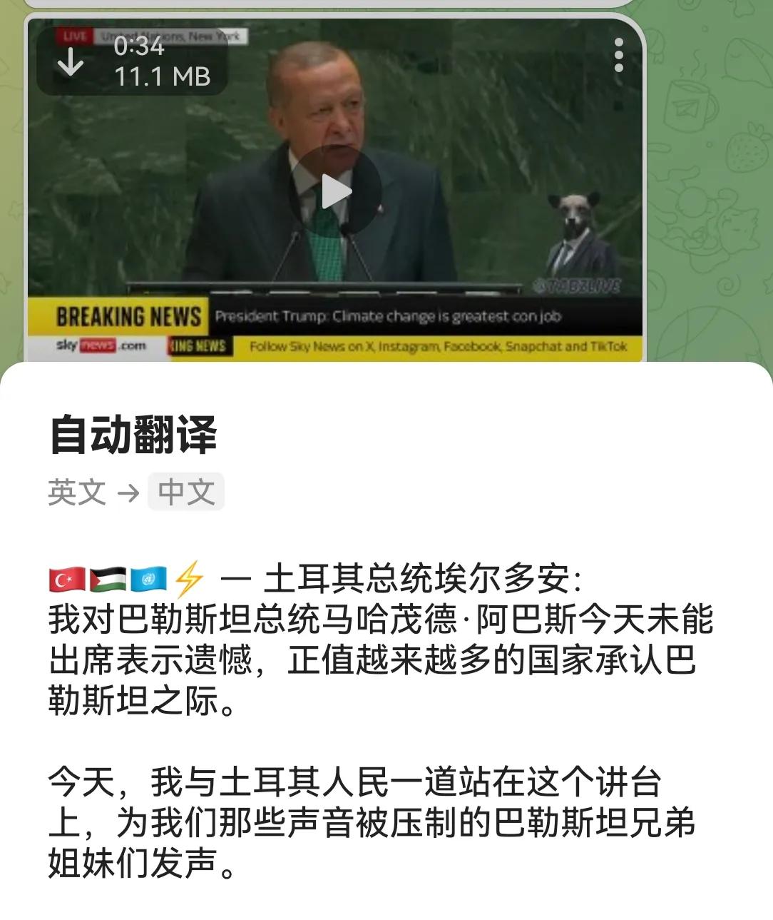 土耳其总统埃尔多安关于巴勒斯坦的声明。
巴勒斯坦国 巴勒斯坦反战 巴勒斯坦约旦 