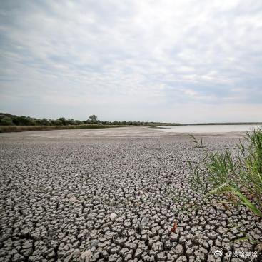 今年滴这个夏天呐.确实比去年还热啊......《50°C，来了》7月底，法国西南