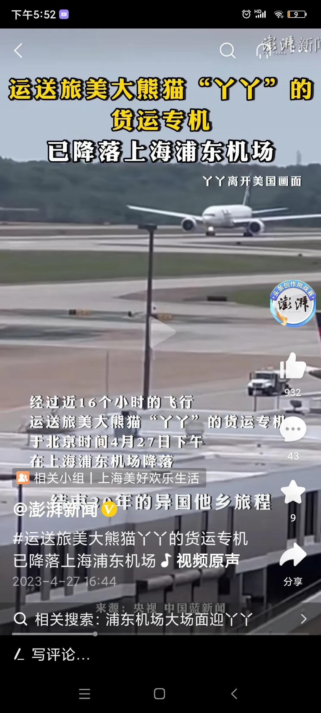 丫丫回国了，回来就好！至于孟菲斯会不会有下一只熊猫，那是以后的事，这和动物园园长