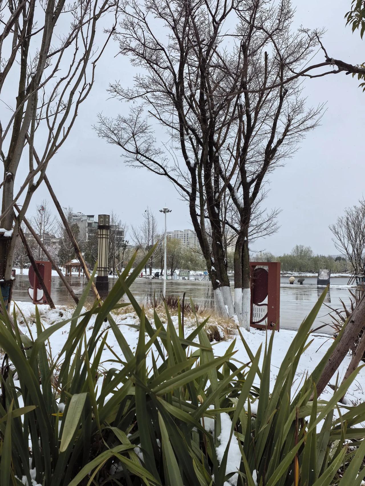 今天是2025年3月18日，云南昭通鲁甸下的雪！