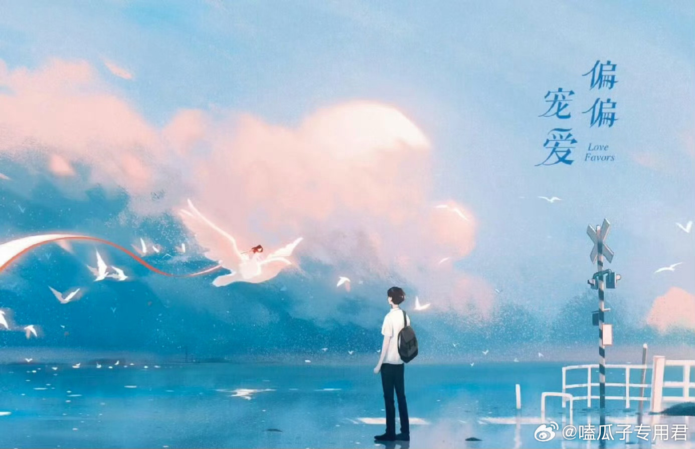 青春剧《偏偏宠爱》在谈 陈飞宇根据晋江藤萝为枝小说改编 