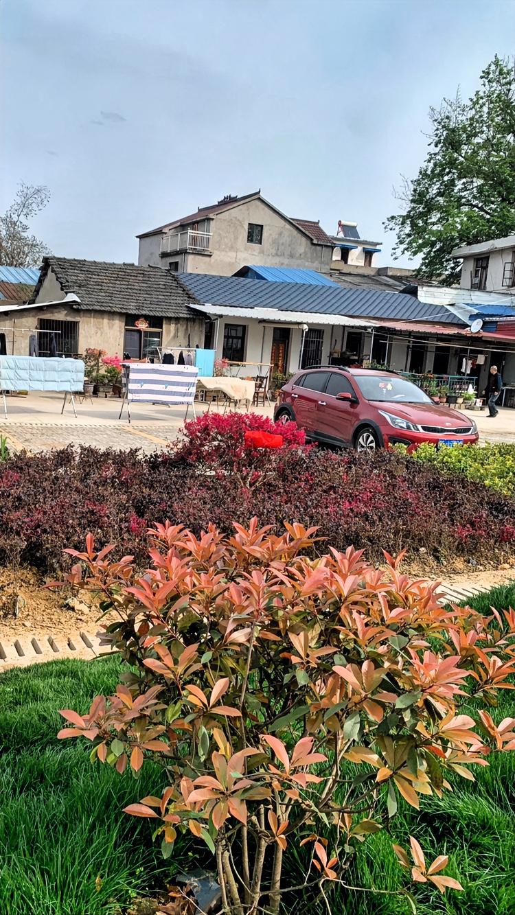 近日看到一个视频：
一位女子得知老公背着自己给了有退休金的婆婆两千元钱，便执意要