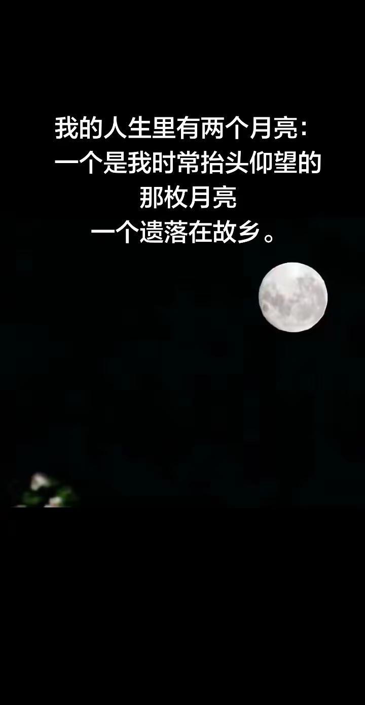 我的人生里有两个月亮：一个是我时常抬头仰。我的人生里有两个月亮：一个是我时常抬头