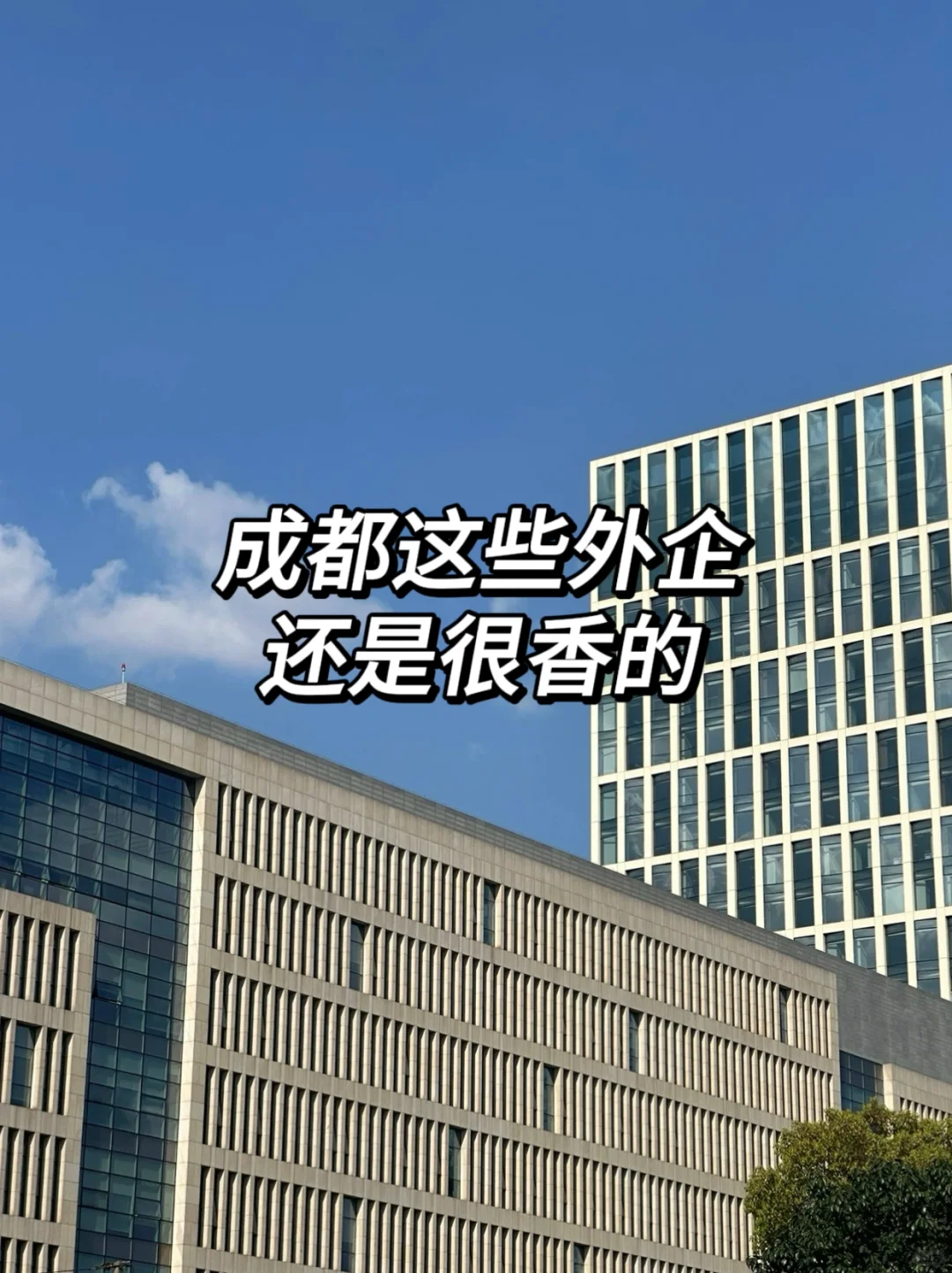 成都这些外企还是很香的