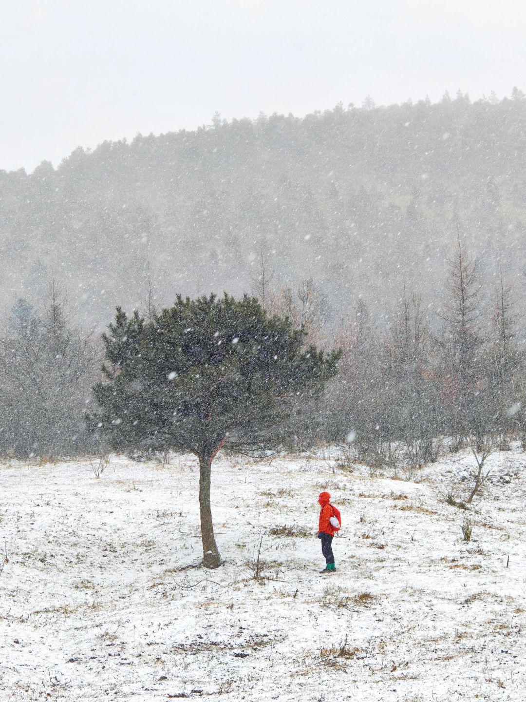为了看雪，给小伙伴包了一座山