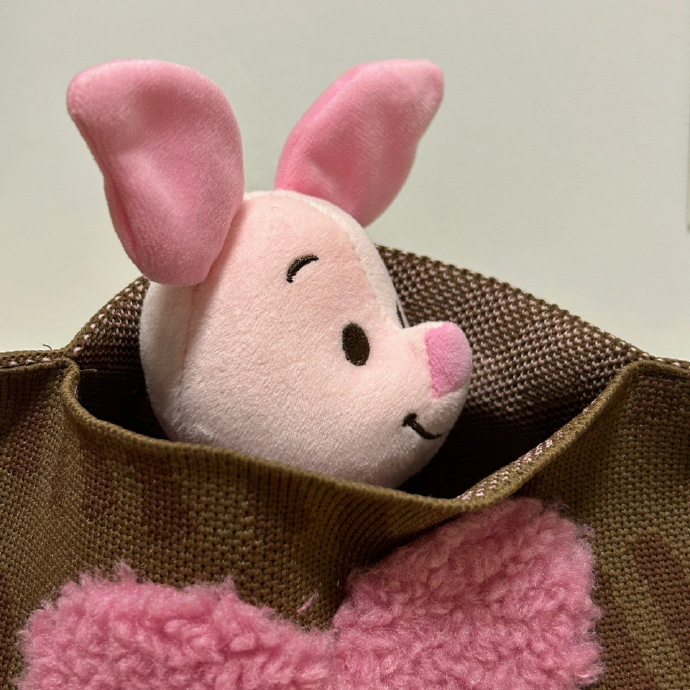 希望有那么 一天永远不必做厌恶的事，不必见厌恶的人—— 白蕙侨《那么一天》  