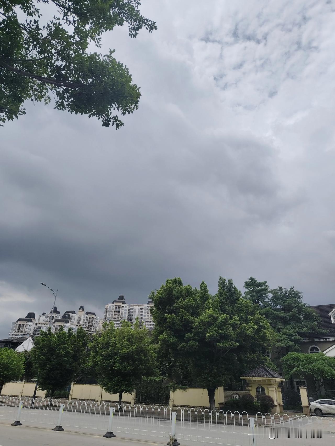 桥头上撞见奇特天象，一边落大雨，一边还晒着太阳
下午一点，在天马河跨线桥上撞见很