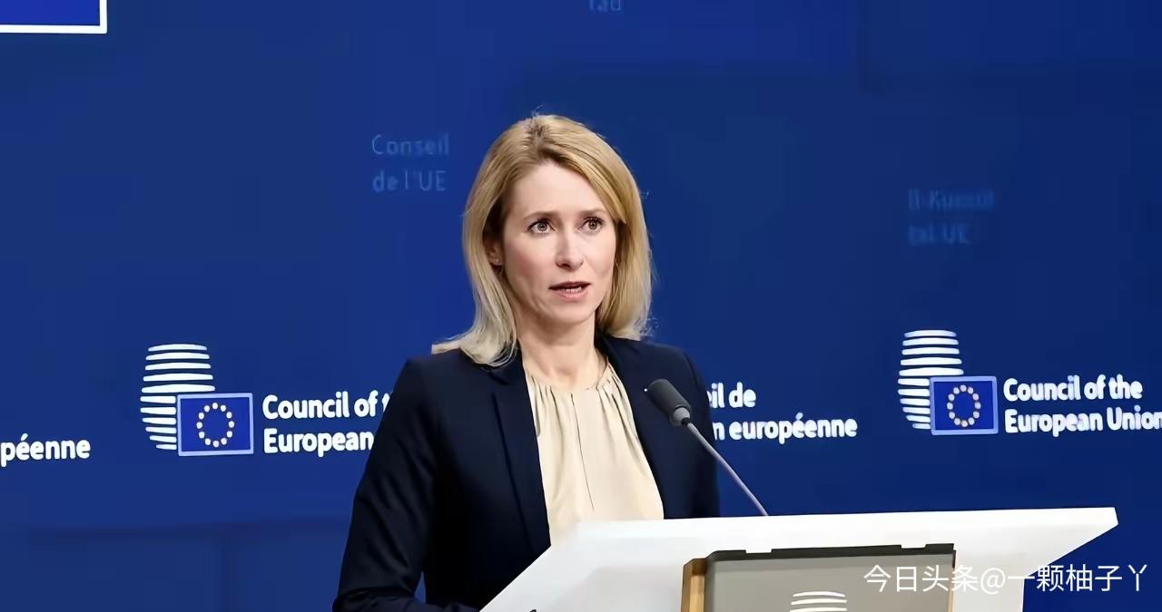 欧盟官宣，2026年起执行新版地平线欧洲计划，把中国排除出四大核心领域：AI、量