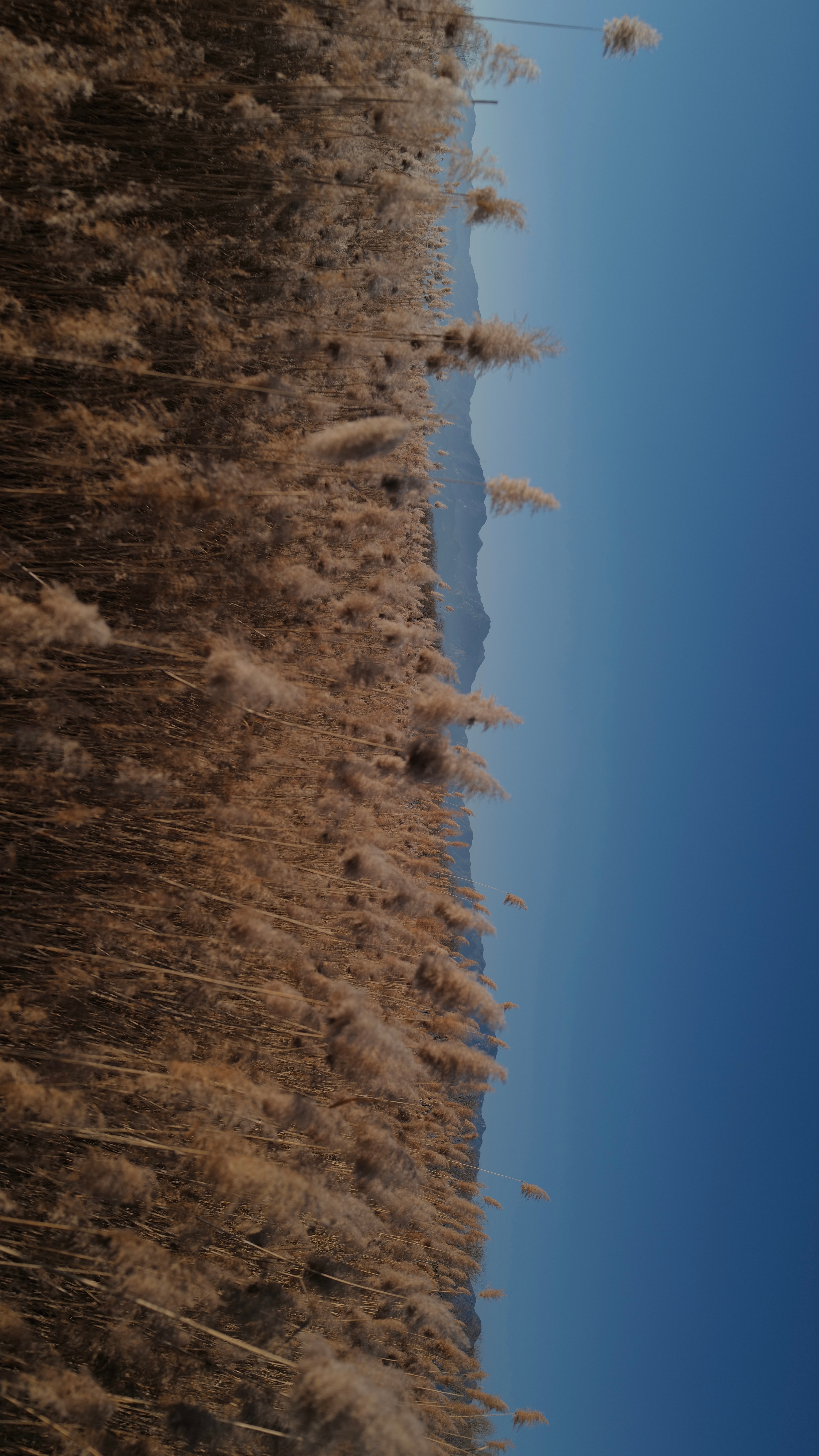 远山 