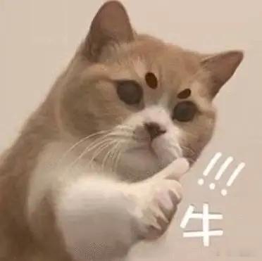 几千年前的陶瓶喝完水自动下班三门峡出土彩陶线条温润柔和，连绵花饰承载集体信念，跨