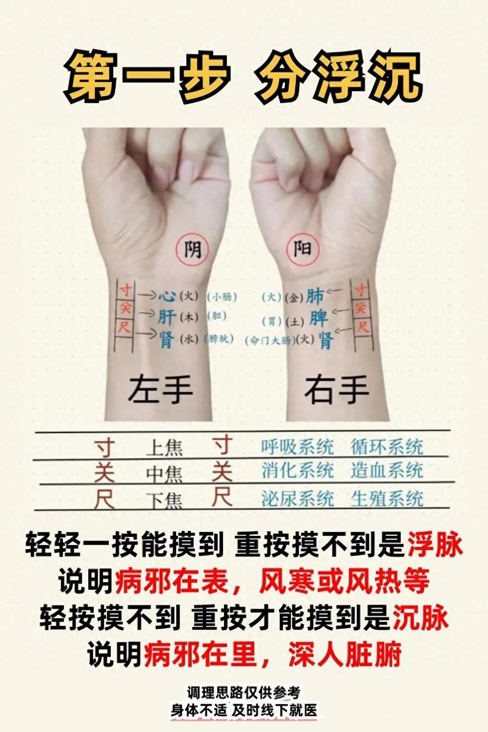 中医把脉分六步，新手小白也能看的懂！学一下，不吃亏！
中医健康