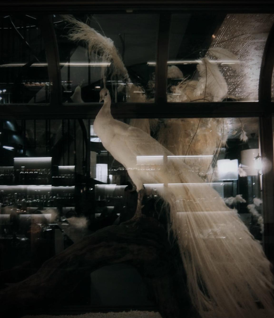 白翎酒吧，完美呈现。当设计成为信仰，入画即出圈，此处风景，本该人潮如织。