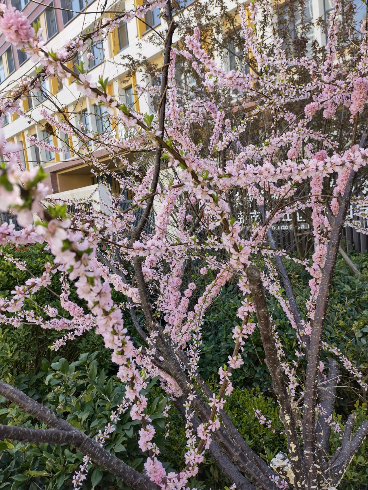 沂蒙山的地有多碎？大爷数地少一块，真相笑喷了
 
咱沂蒙山区的地，那可不是一般的