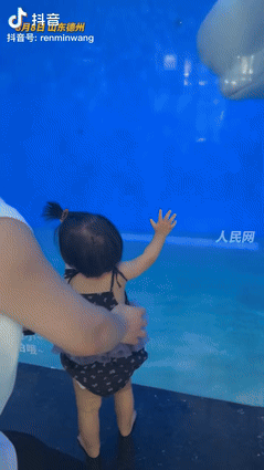 [微风]“真成精了！”山东德州，一家长带着女儿去海洋馆看白鲸，出于好奇，女孩紧紧