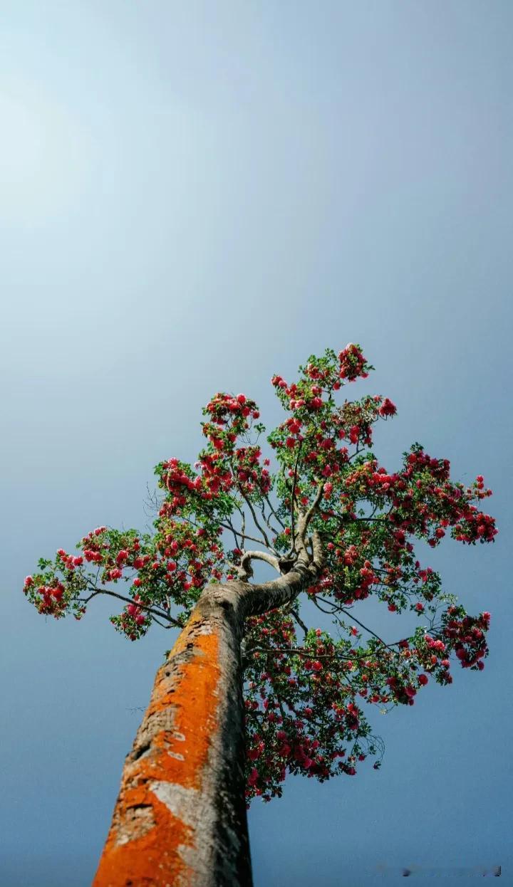 前几天和妈妈因为一件小事起了争执，当时我说话音量很大，带着明显的不满和责备。后来