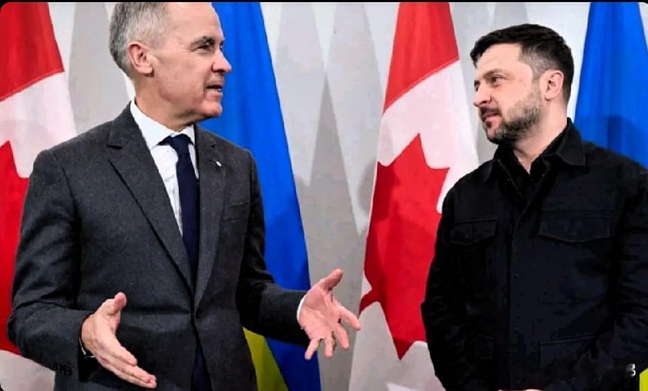 乌克兰总统泽连斯基周日证实，在与欧洲领导人就和平谈判进行磋商后，加拿大将向乌克兰