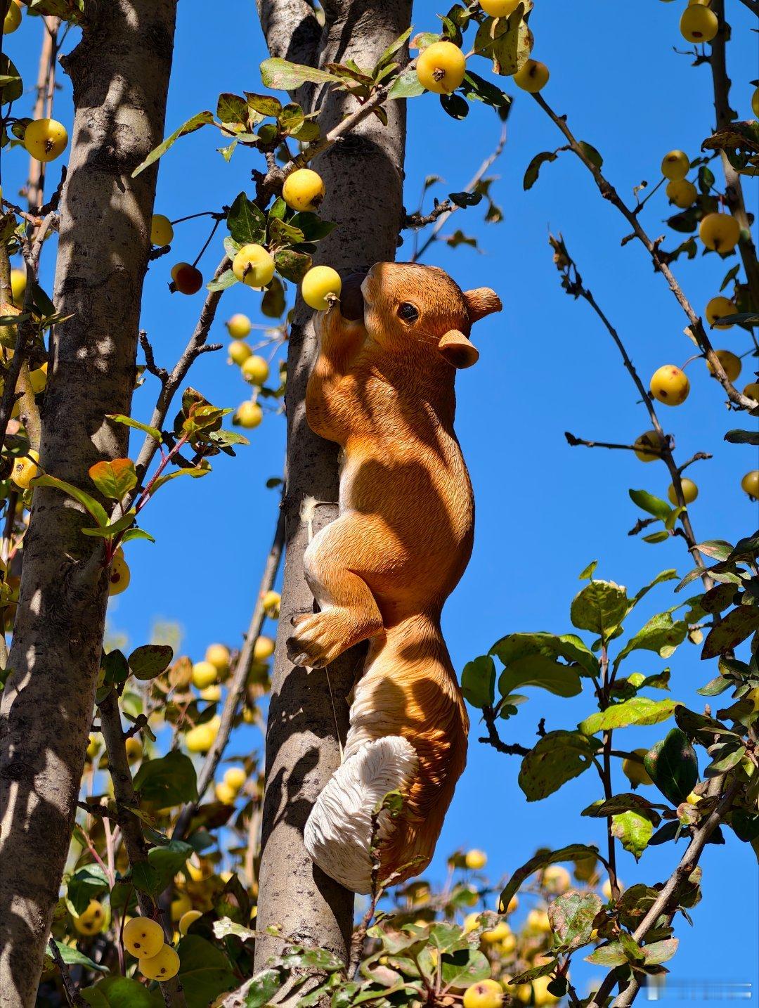 今天的天气真好 ​​​