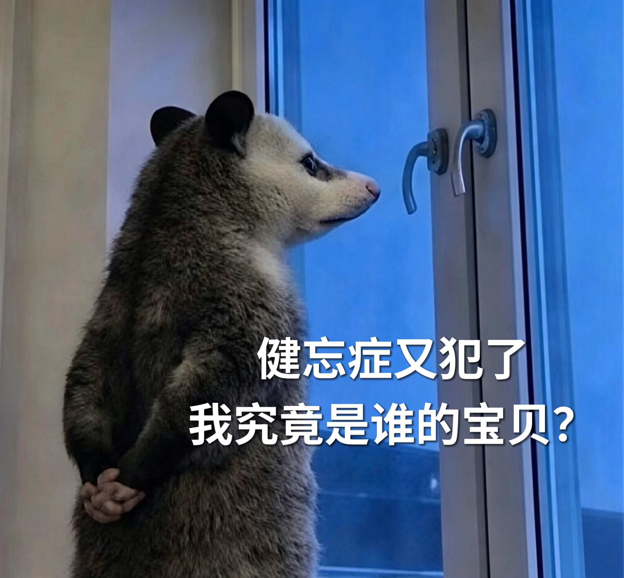 各位尊贵的粉丝宝宝 早安～🫰 现在是2026年6月5日 星期五早上8:00 媚