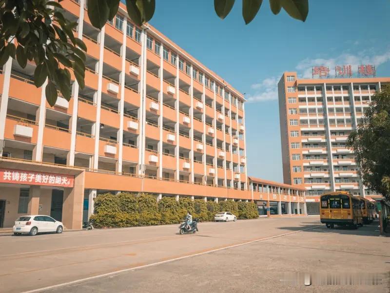 网友称80后在求学与就业的道路上，读小学中学时，学费尚未全面免除，中专、大学仍保