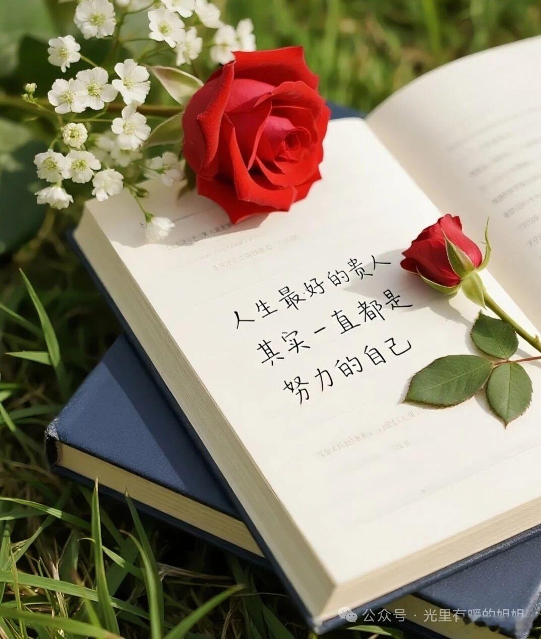 "人独自行过生命，蒙受玷污，承担罪过，痛饮苦酒，寻觅出路。"          