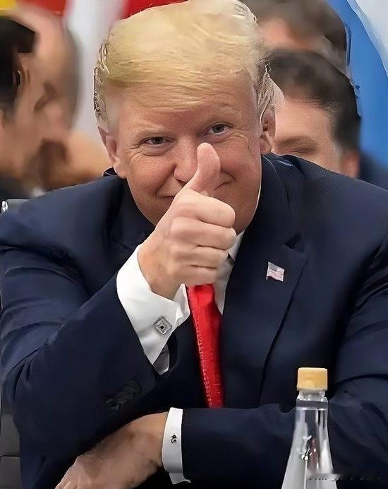 没想到，真正能拿捏住美国的既不是中国的普通商品，也不是中国掌控的稀土资源，而是中