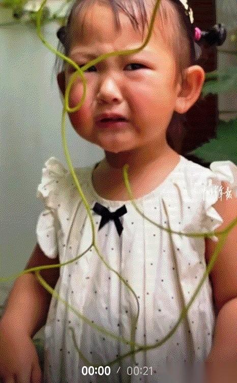 河南周口，奶奶家院子里的葡萄藤，挂着一串串青绿色的果子，阳光一照，亮得晃眼。
一