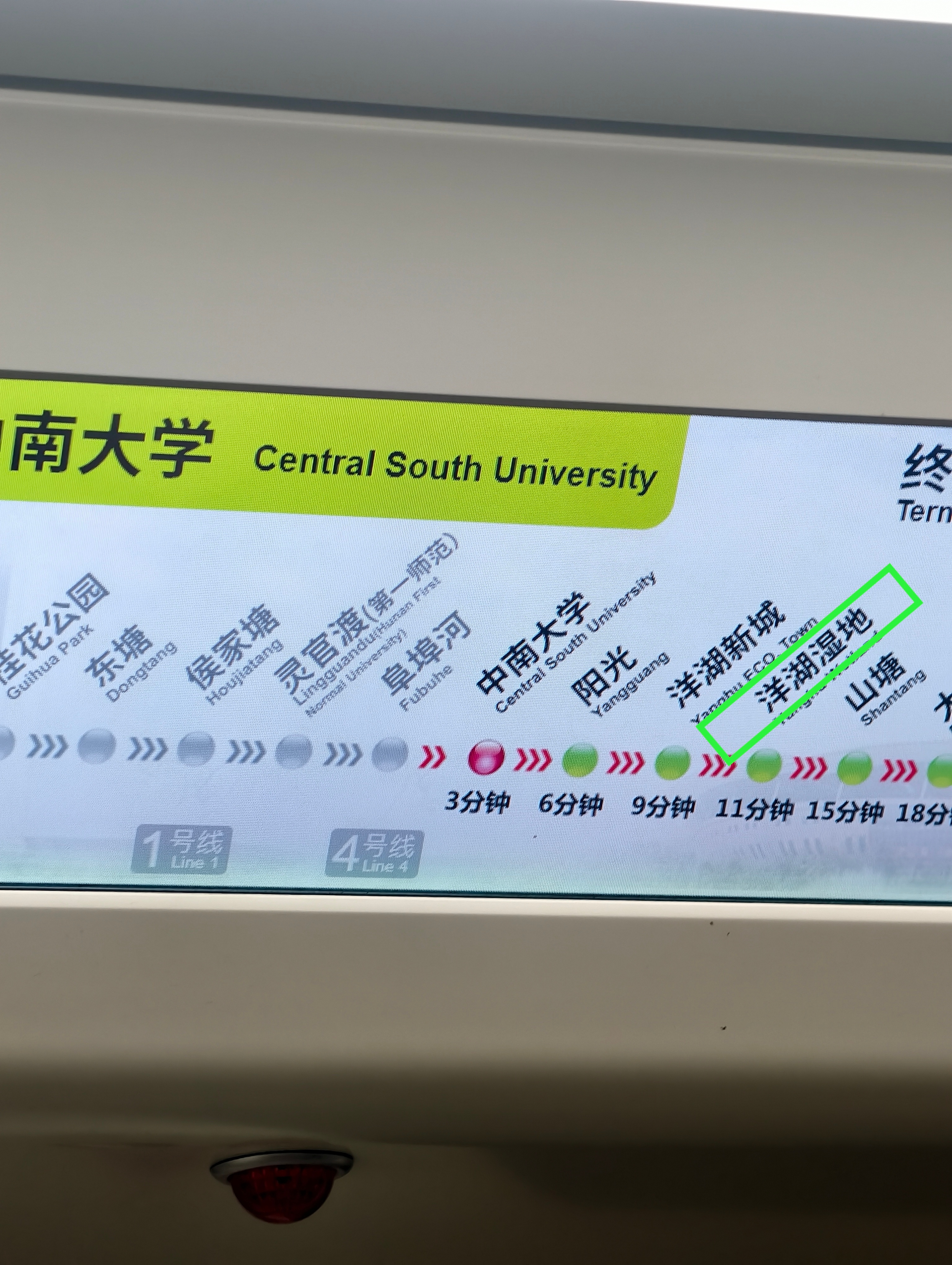 谁懂我看到洋湖湿地这一站的心情，那可是他认认真真拍了vlog的地方呀！ 