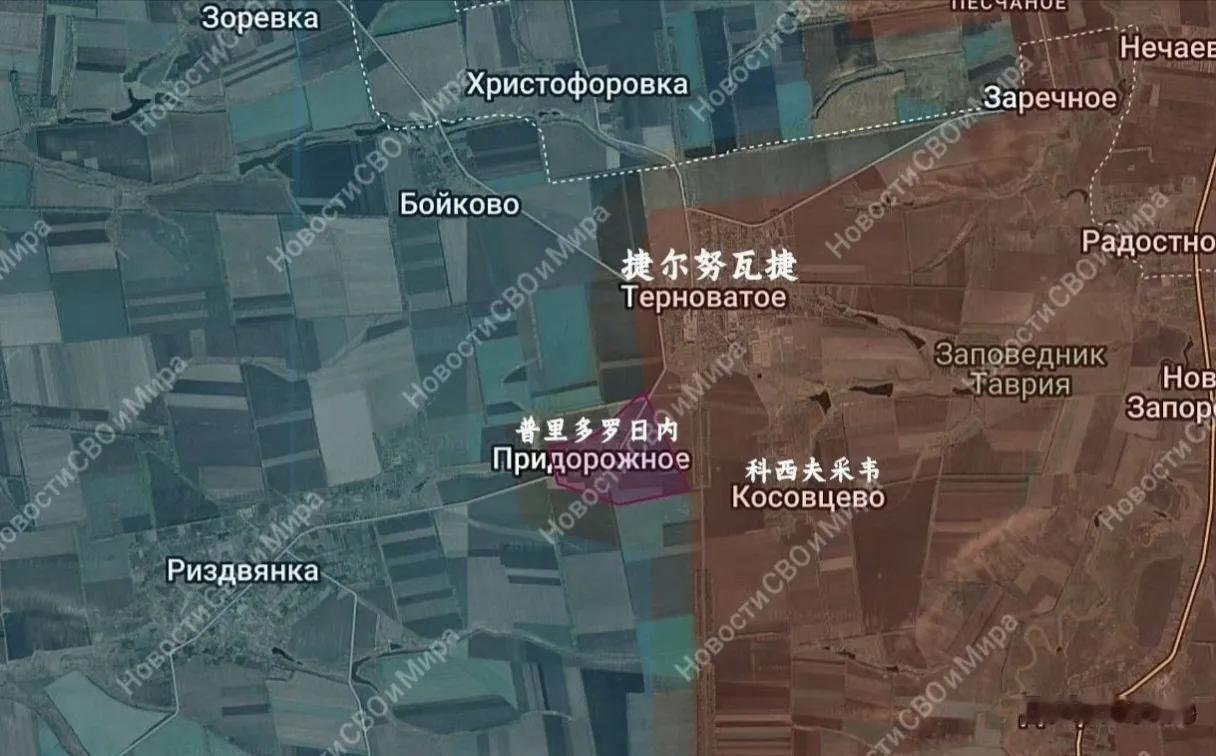 俄军东部集群占领了捷尔努瓦捷西南的普里多罗日内。
从2024年至今，俄军东部集群