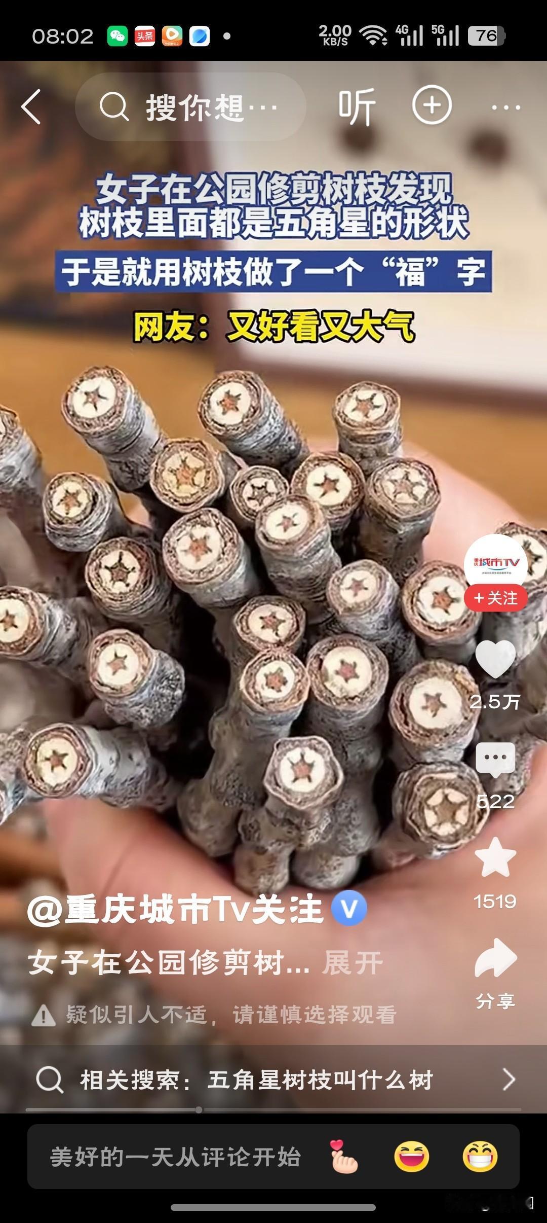 女子发现树枝断面都是五角星的形状自然界的鬼斧神工从不让人失望！这五角星断面是树木