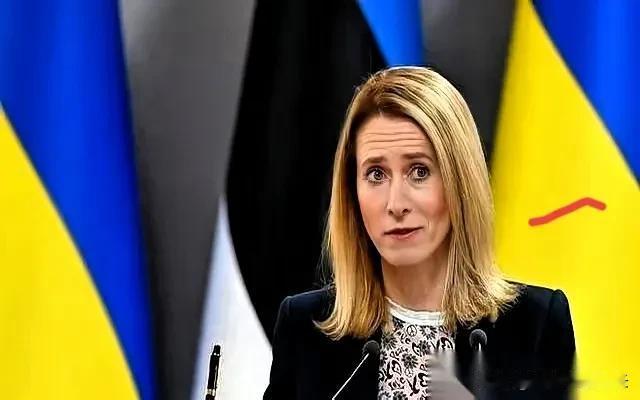 今天看到一位欧盟女高官，在看完东方大国大阅兵后，居然说“第一次听说”二战时东方大