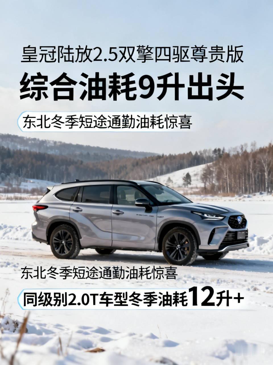手里这台皇冠陆放2.5双擎四驱尊贵版，今年4月初在哈尔滨提的，开到现在跑了177